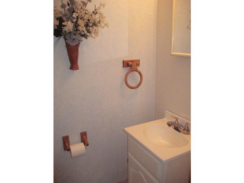 53 Rose Leaf Road Pittsburgh, PA 15220 - Photo 10 of 24 Partial Bath.