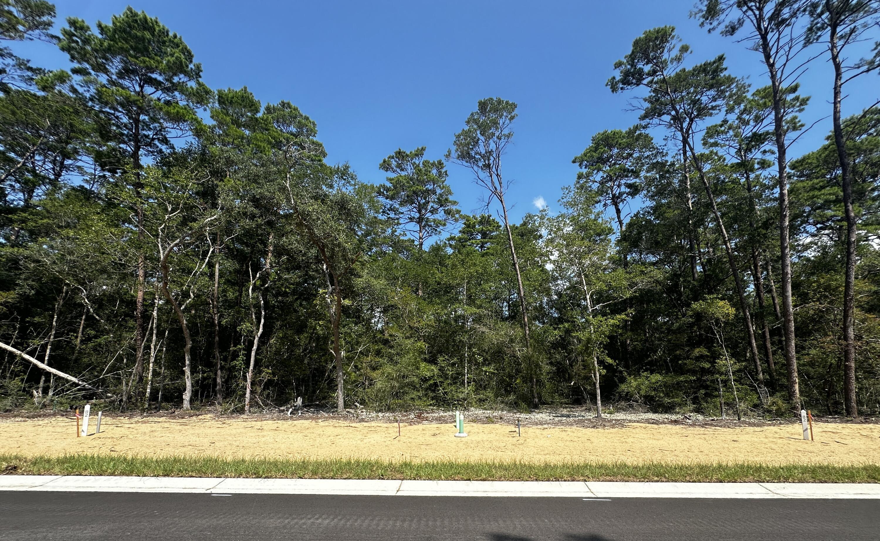 413 Sorrel Way Niceville, FL 32578 - Photo 1 of 2 a view of a yard with a tree