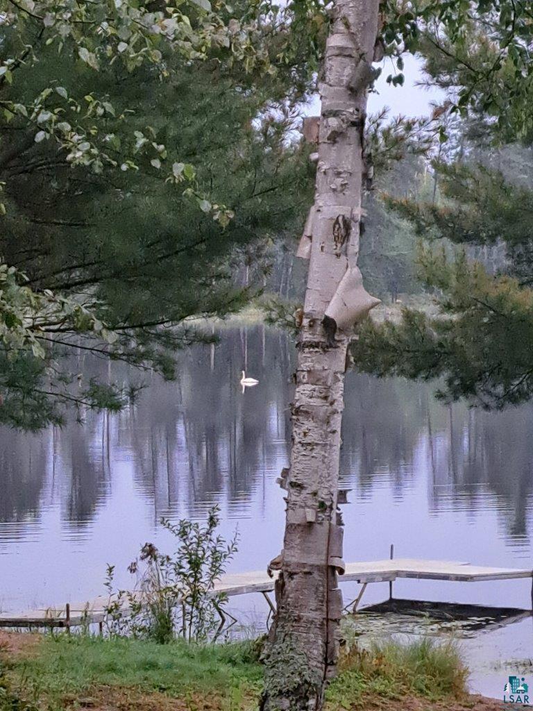 3420 Dewees Road Babbitt, MN 55706 - Photo 46 of 58 Sharing The Lake With Nature