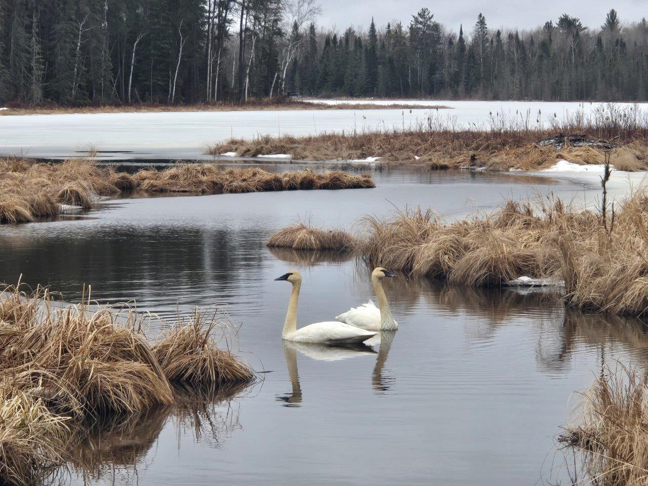 3420 Dewees Road Babbitt, MN 55706 - Photo 47 of 58 Narrows Between Isaac & Arthur Lakes