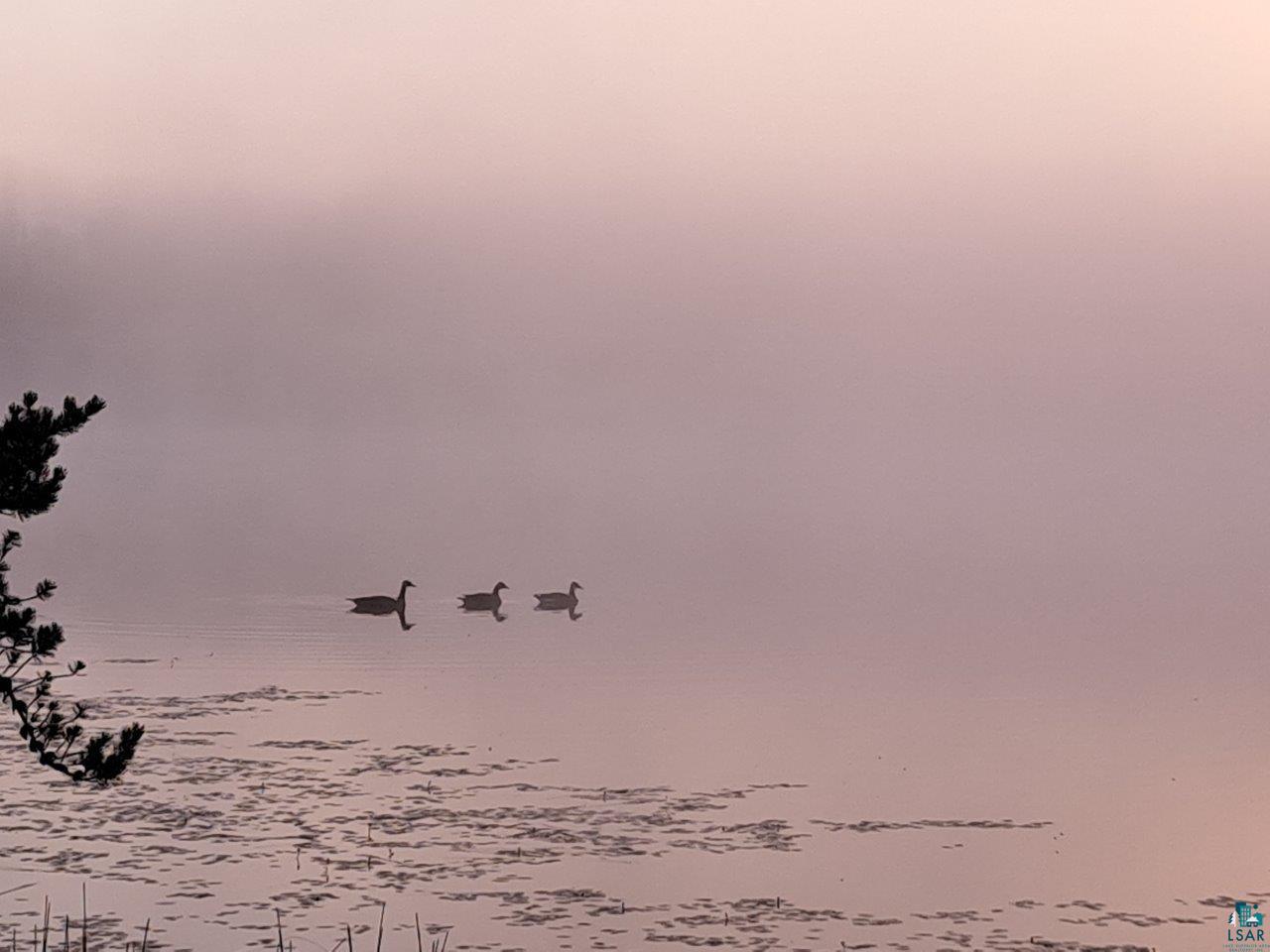 3420 Dewees Road Babbitt, MN 55706 - Photo 49 of 58