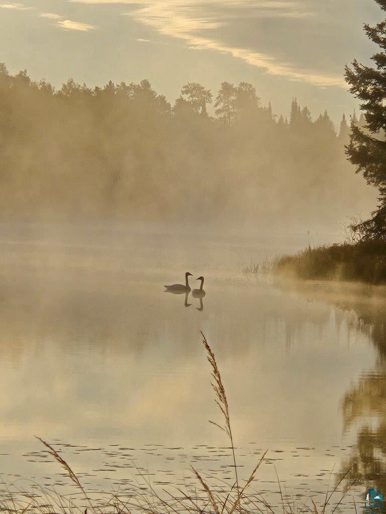 3420 Dewees Road Babbitt, MN 55706 - Photo 50 of 58