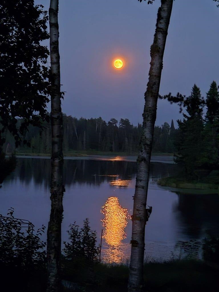 3420 Dewees Road Babbitt, MN 55706 - Photo 52 of 58