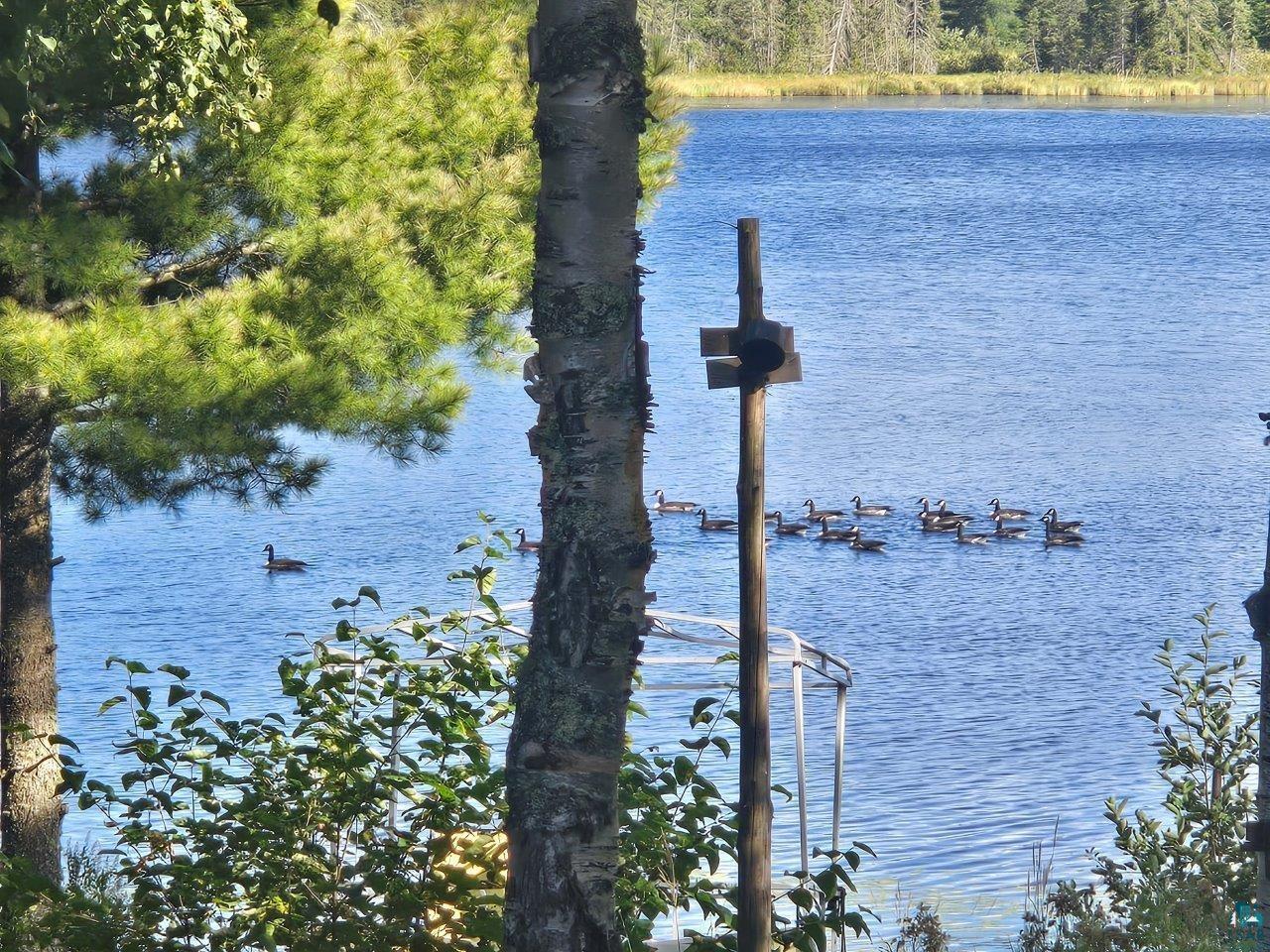 3420 Dewees Road Babbitt, MN 55706 - Photo 8 of 58