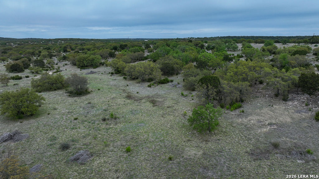 684 Lester Ln Junction Junction, TX 76849 - Photo 6 of 15 a view of a lush green forest with lots of trees