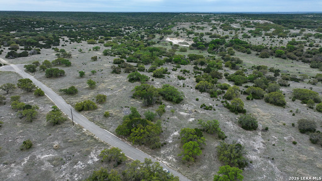 684 Lester Ln Junction Junction, TX 76849 - Photo 9 of 15 a view of a forest with a street