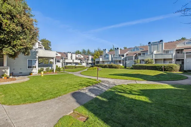 a view of a big room with a big yard and plants
