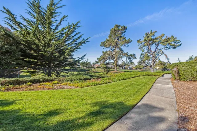 a view of swimming pool with a yard