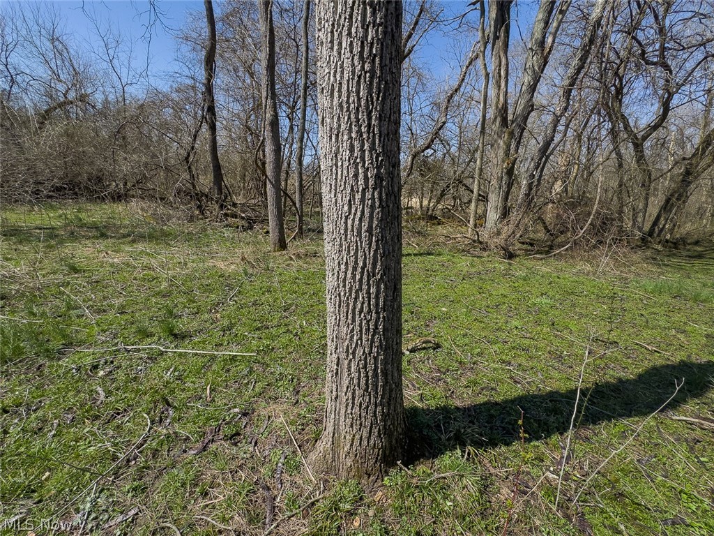 0 Lonesome Road Thornville, OH 43076 - Photo 9 of 31