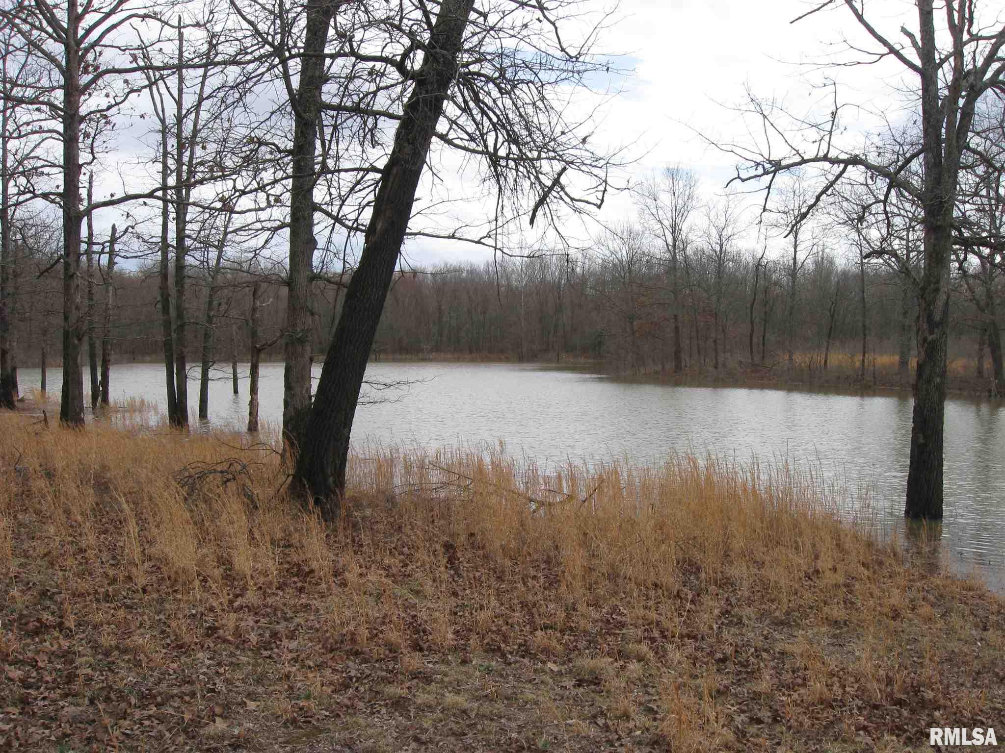 2360 Dog Walk Road Equality, IL 62934 - Photo 1 of 26 Gallery Image 1