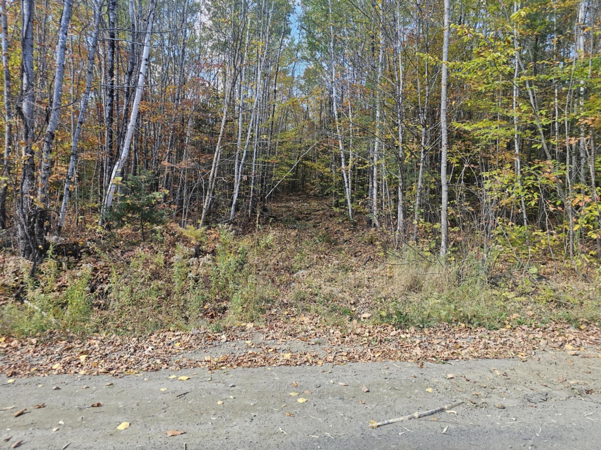 5 Map Road Phillips, ME 04966 - Photo 3 of 13 37951fad-020b-48bf-8c73-911e046440c2