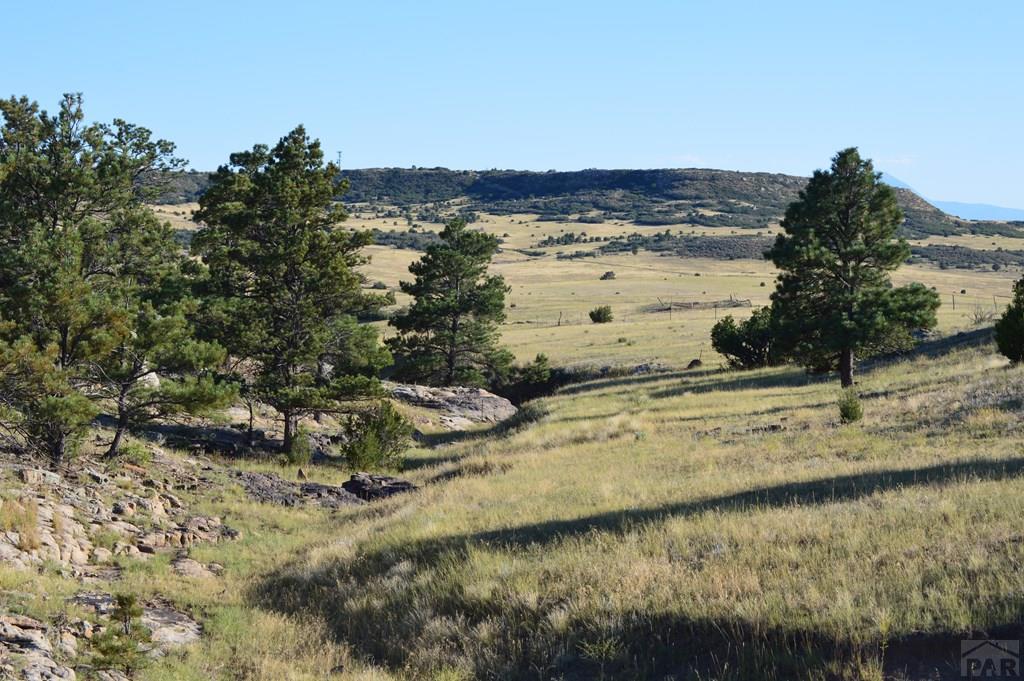 Tbd Tbd Plata Peak Rye, CO 81069 - Photo 11 of 11