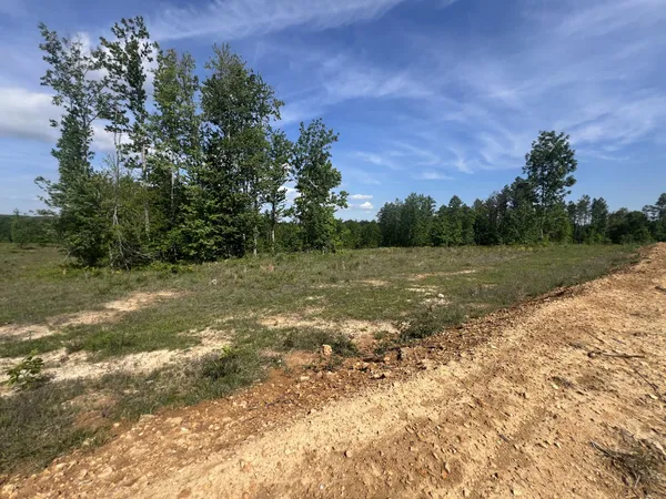 a view of a field with trees in background