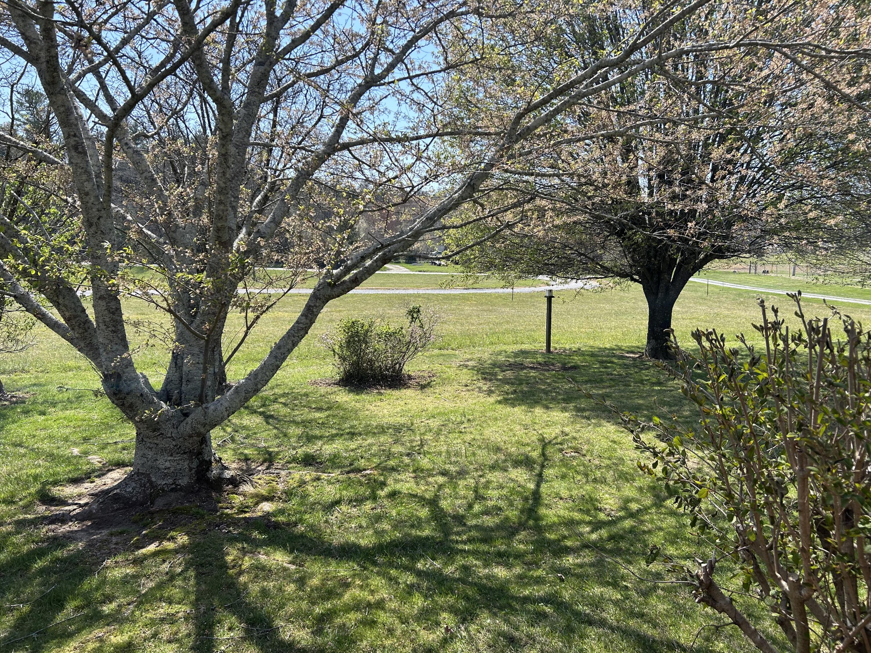 515 Brayton Road Graysville, TN 37338 - Photo 42 of 63 IMG_4547