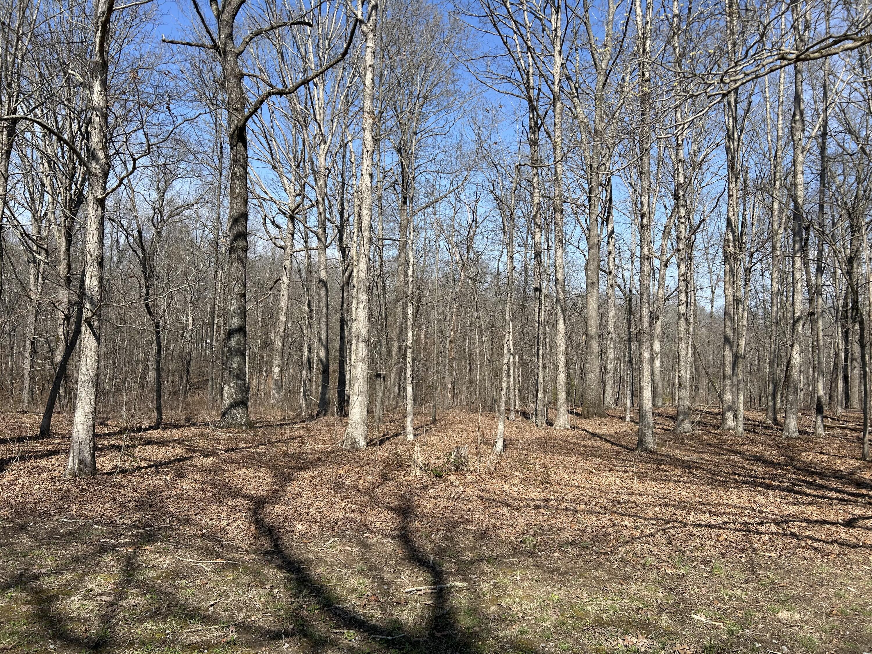 515 Brayton Road Graysville, TN 37338 - Photo 57 of 59 IMG_4595