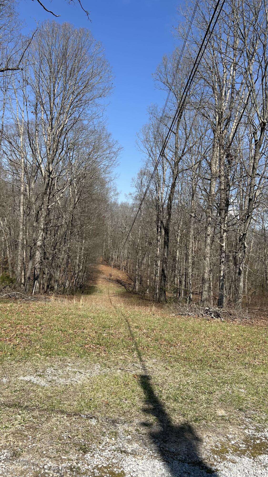 515 Brayton Road Graysville, TN 37338 - Photo 60 of 63 IMG_4590