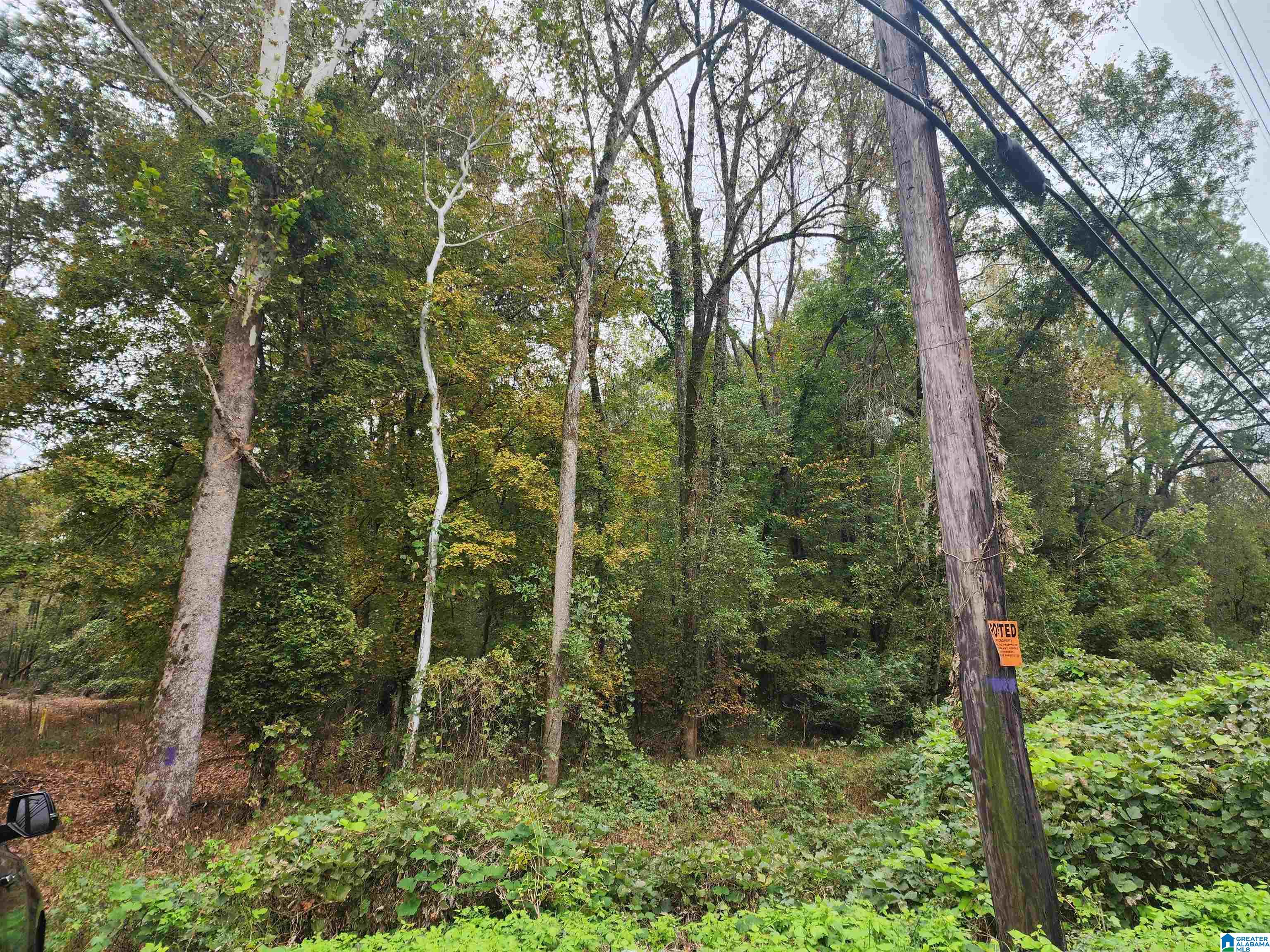2241 Morgan Road Bessemer, AL 35022 - Photo 2 of 3