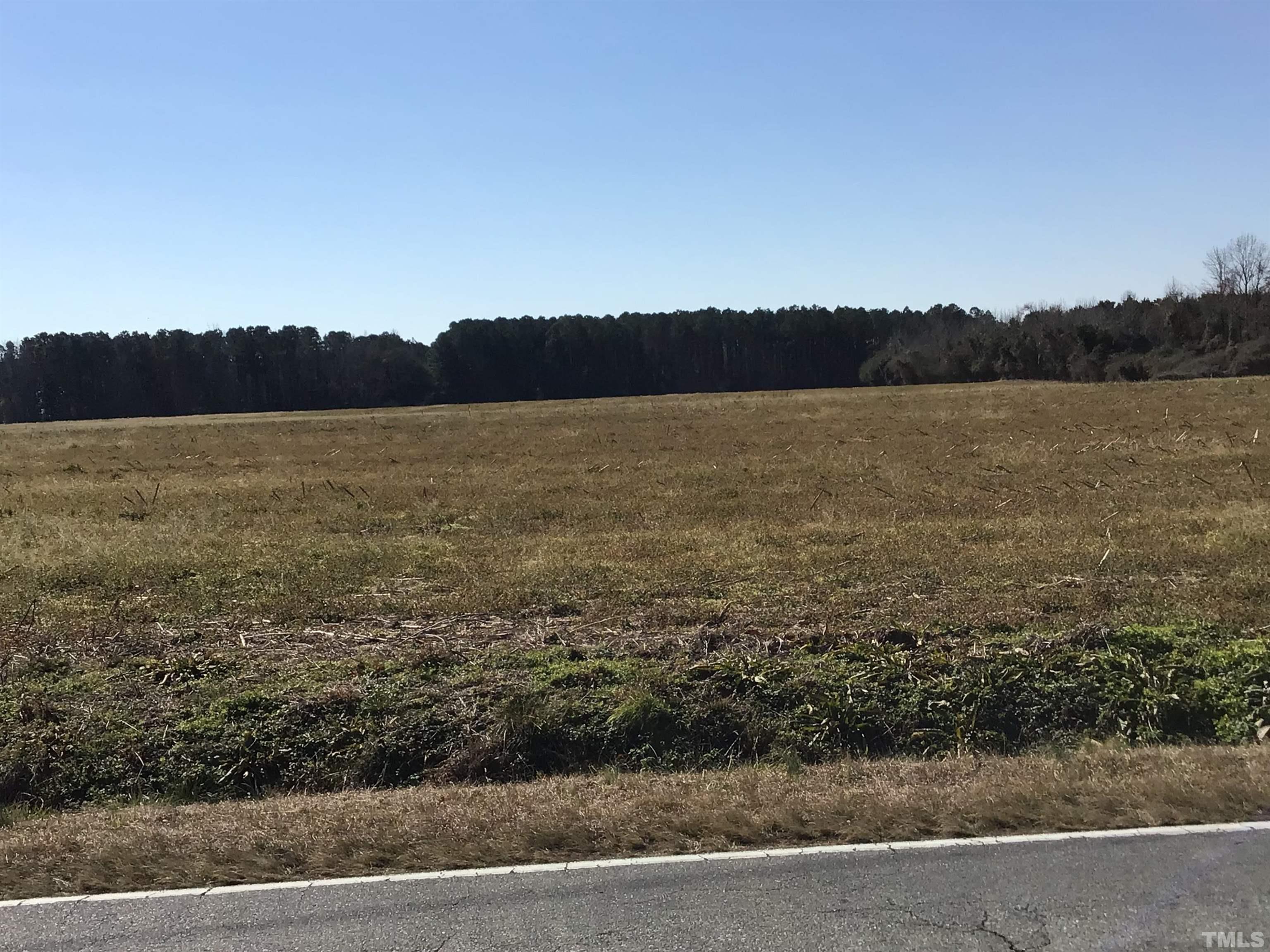 473 Cornwallis Road Teachey, NC 28464 - Photo 38 of 65 a view of lake