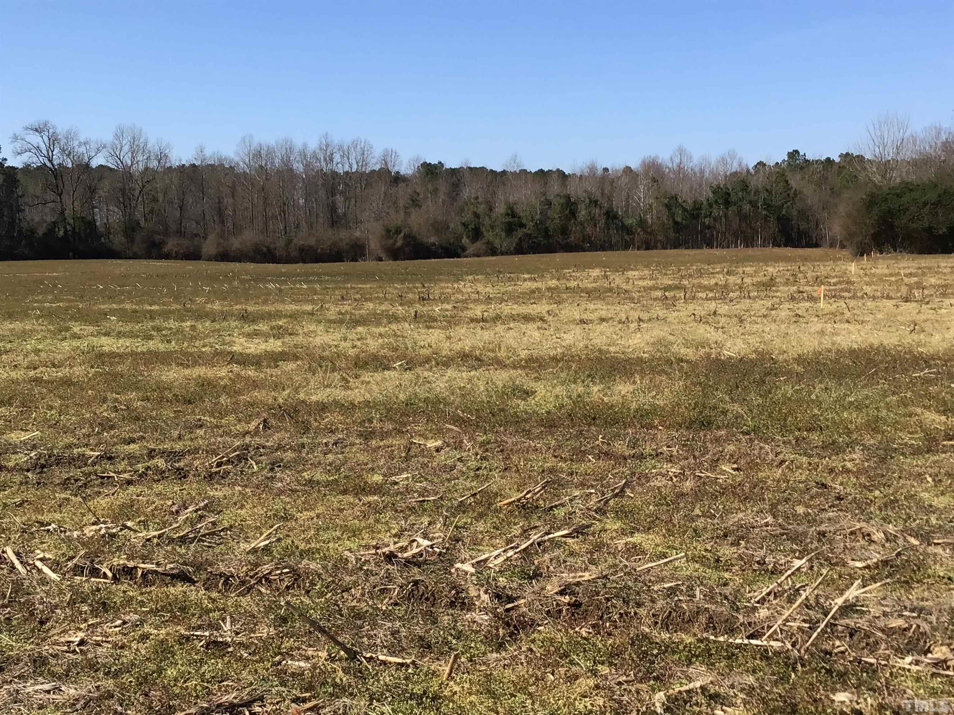 473 Cornwallis Road Teachey, NC 28464 - Photo 61 of 65 a view of a green field