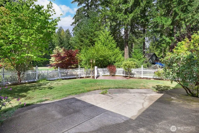 a view of a yard with plants and trees