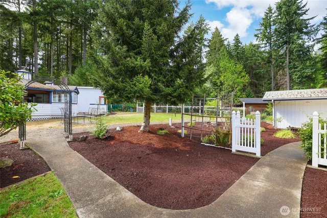 a view of a backyard with a small cabin
