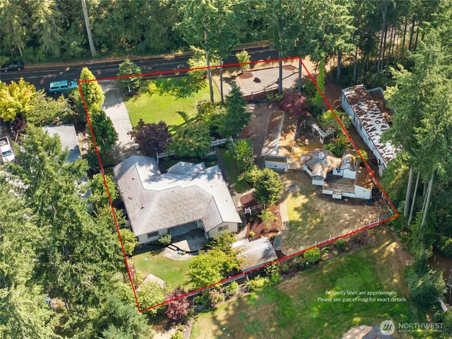 a view of a garden with plants