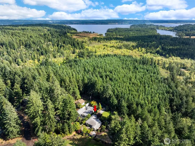 a view of a garden with a building in the background