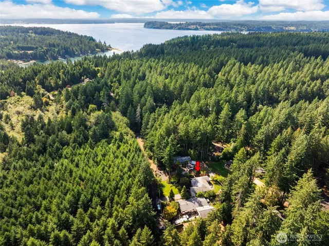 a view of a bunch of flowers in a yard
