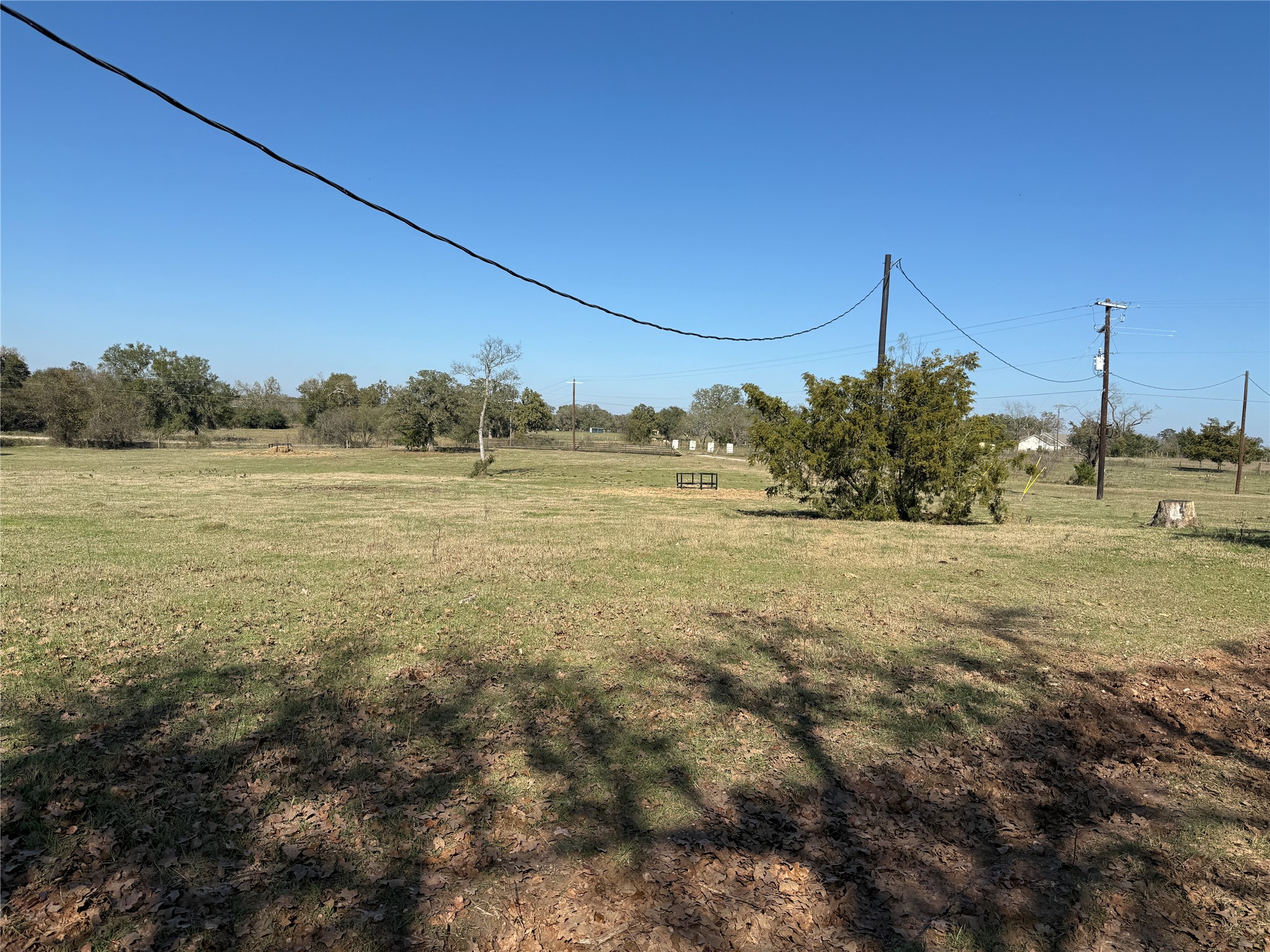 7538 Rocky Ridge Lane Madisonville, TX 77864 - Photo 12 of 47