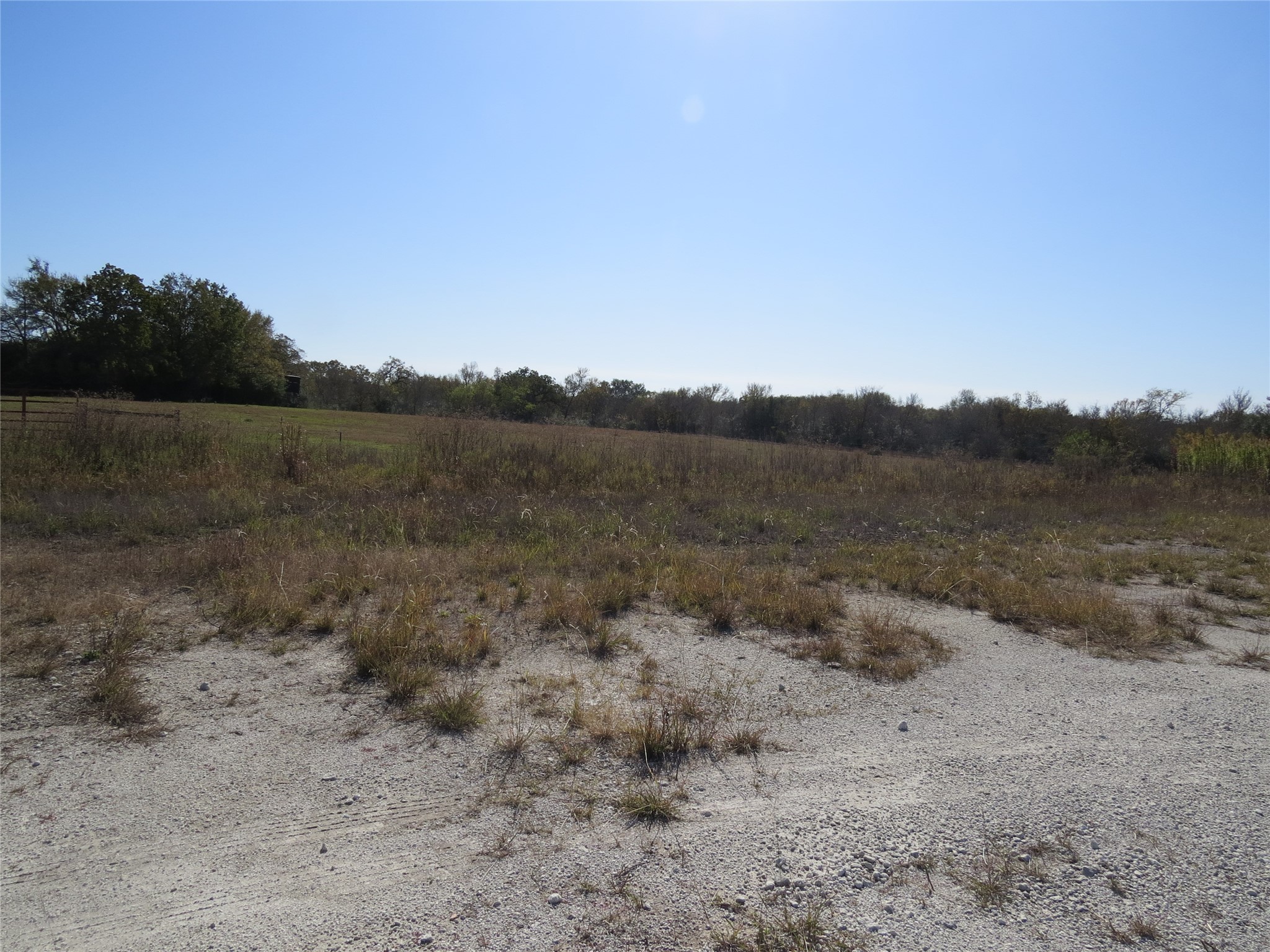 7538 Rocky Ridge Lane Madisonville, TX 77864 - Photo 20 of 48 a view of a dry field with trees in background