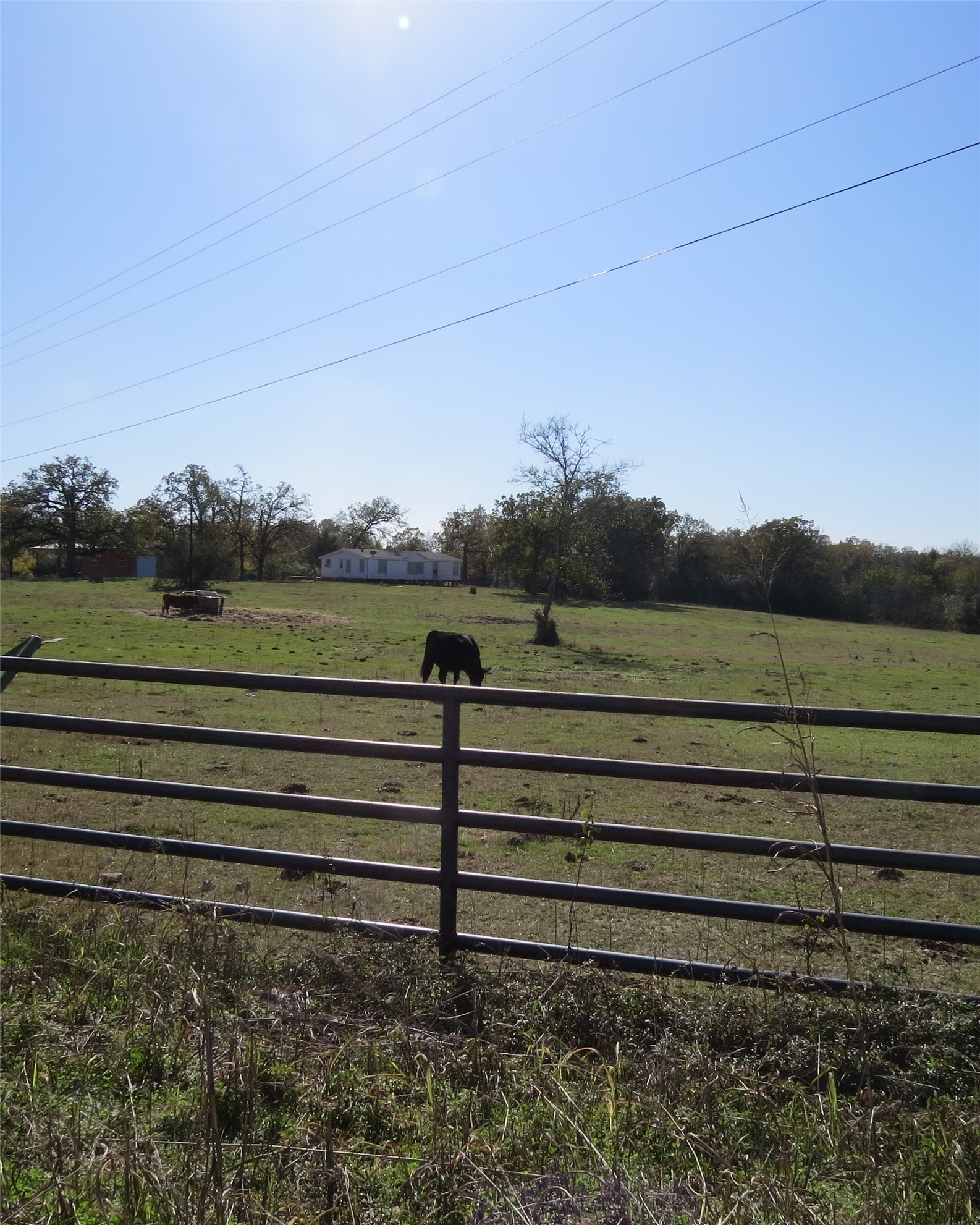 7538 Rocky Ridge Lane Madisonville, TX 77864 - Photo 3 of 47 This property features a fully enclosed fence, offering security and privacy.