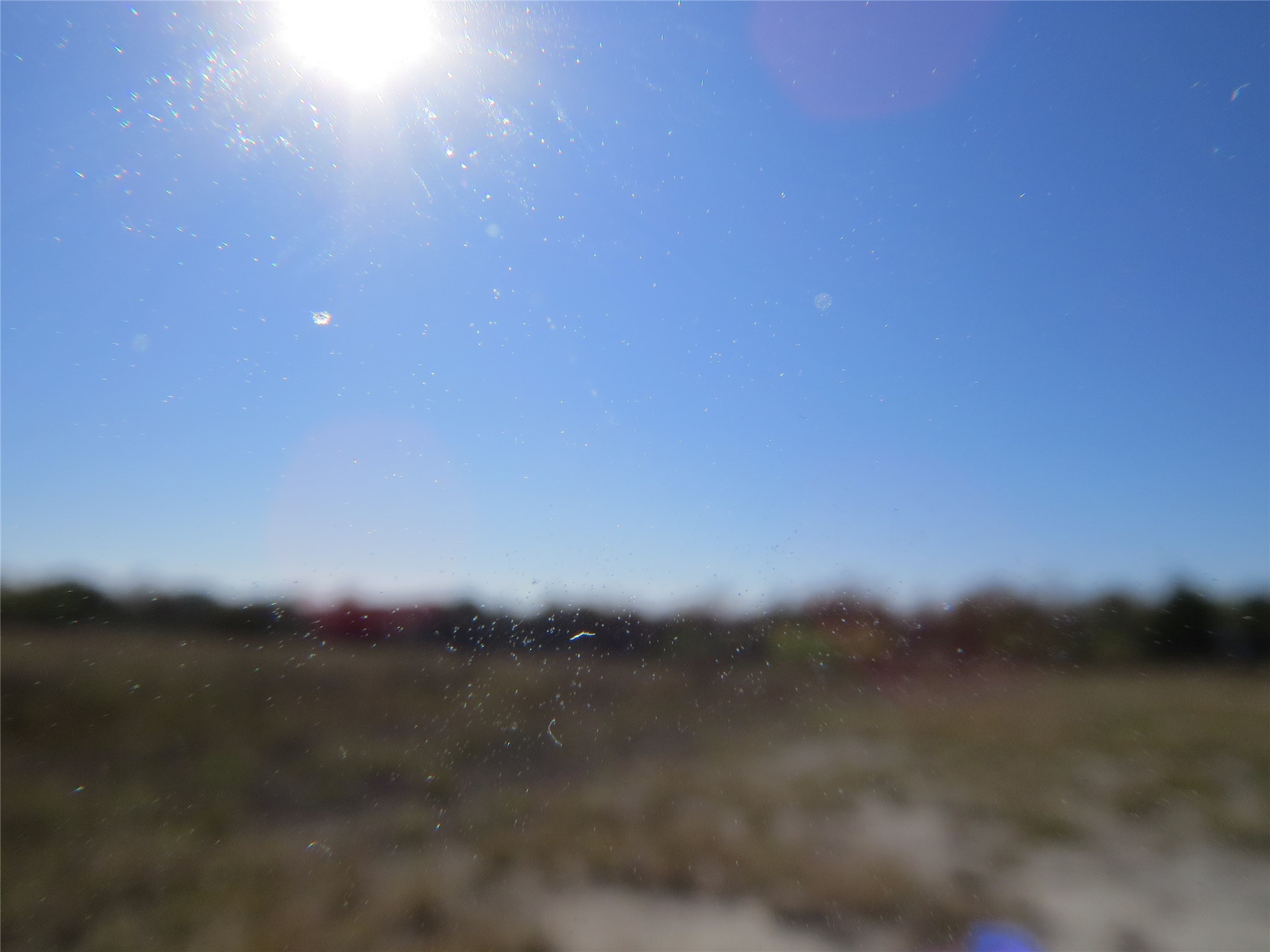 7538 Rocky Ridge Lane Madisonville, TX 77864 - Photo 32 of 47