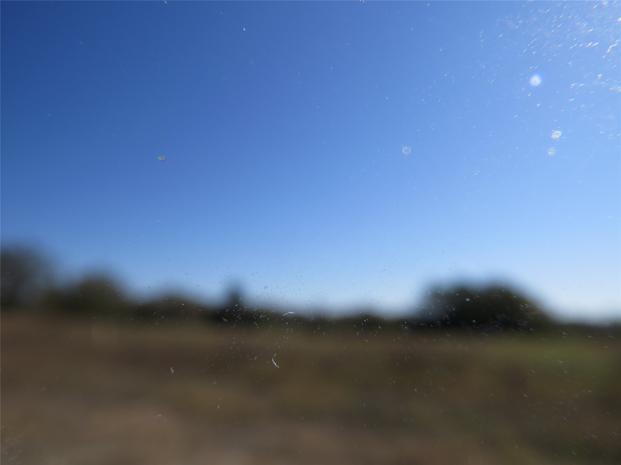 7538 Rocky Ridge Lane Madisonville, TX 77864 - Photo 34 of 47