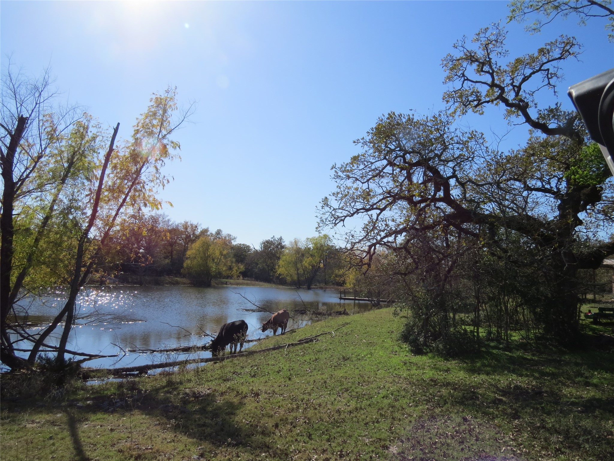 7538 Rocky Ridge Lane Madisonville, TX 77864 - Photo 34 of 48