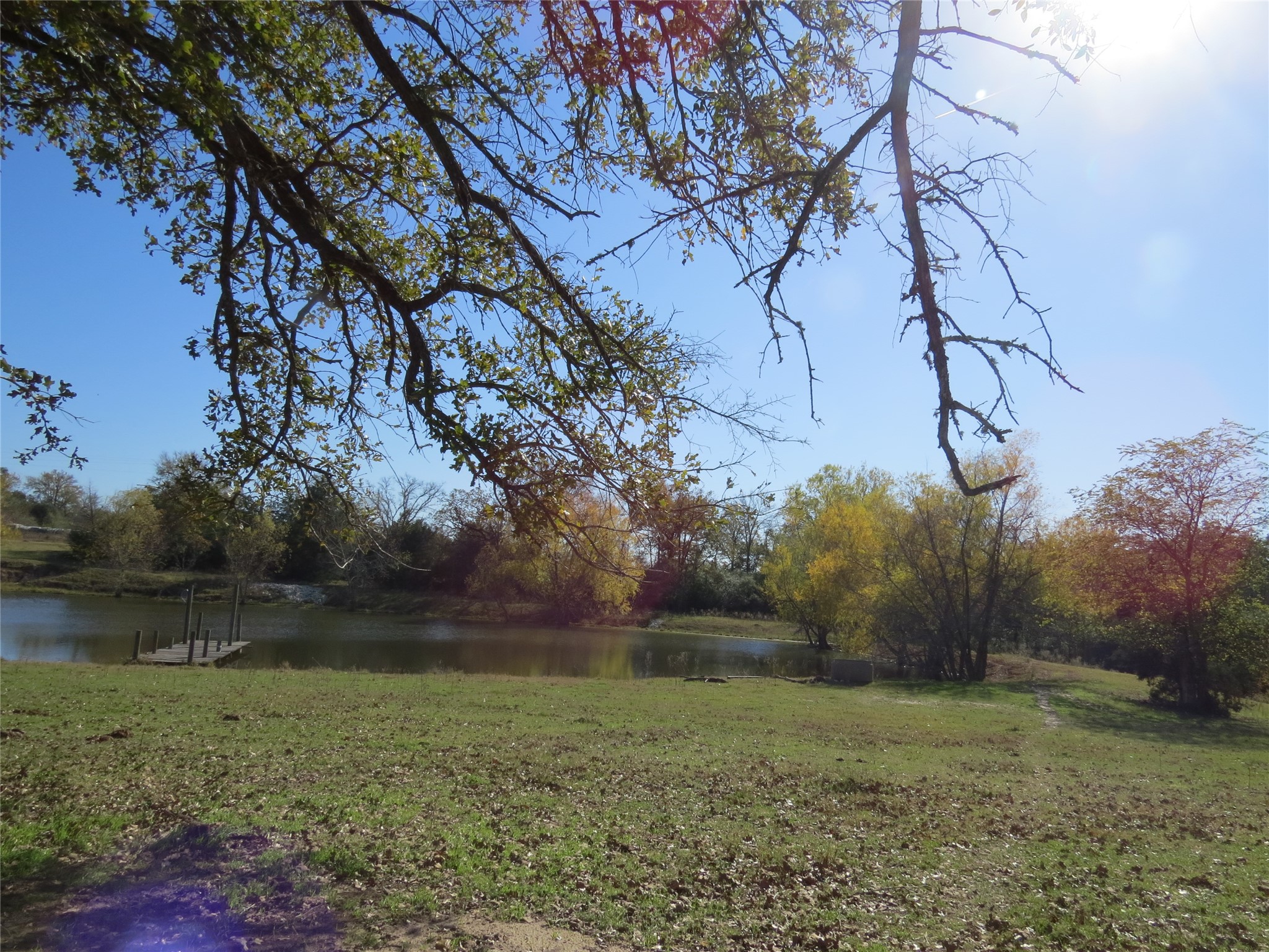 7538 Rocky Ridge Lane Madisonville, TX 77864 - Photo 39 of 48 a view of a yard with an trees