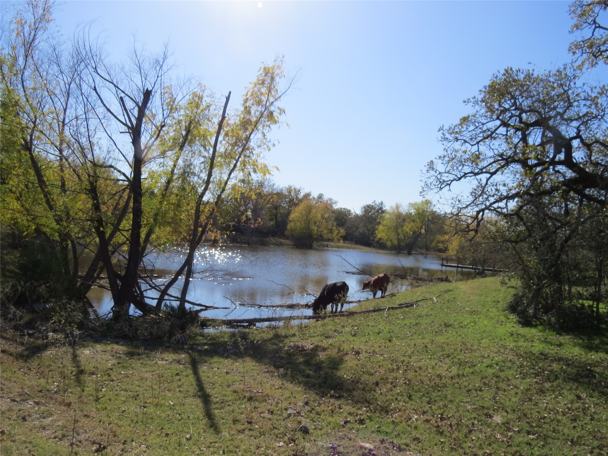 7538 Rocky Ridge Lane Madisonville, TX 77864 - Photo 40 of 47