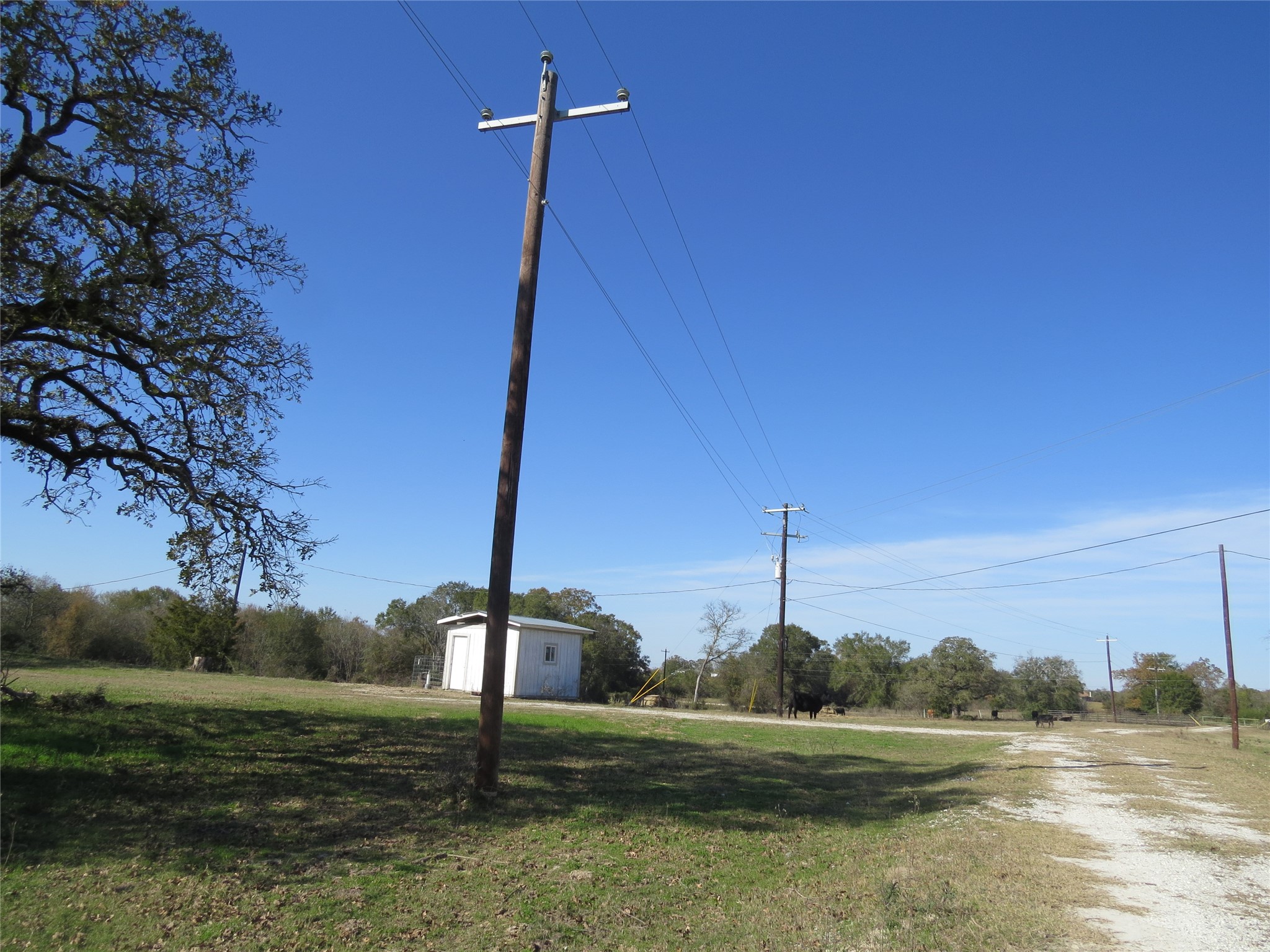 7538 Rocky Ridge Lane Madisonville, TX 77864 - Photo 41 of 47