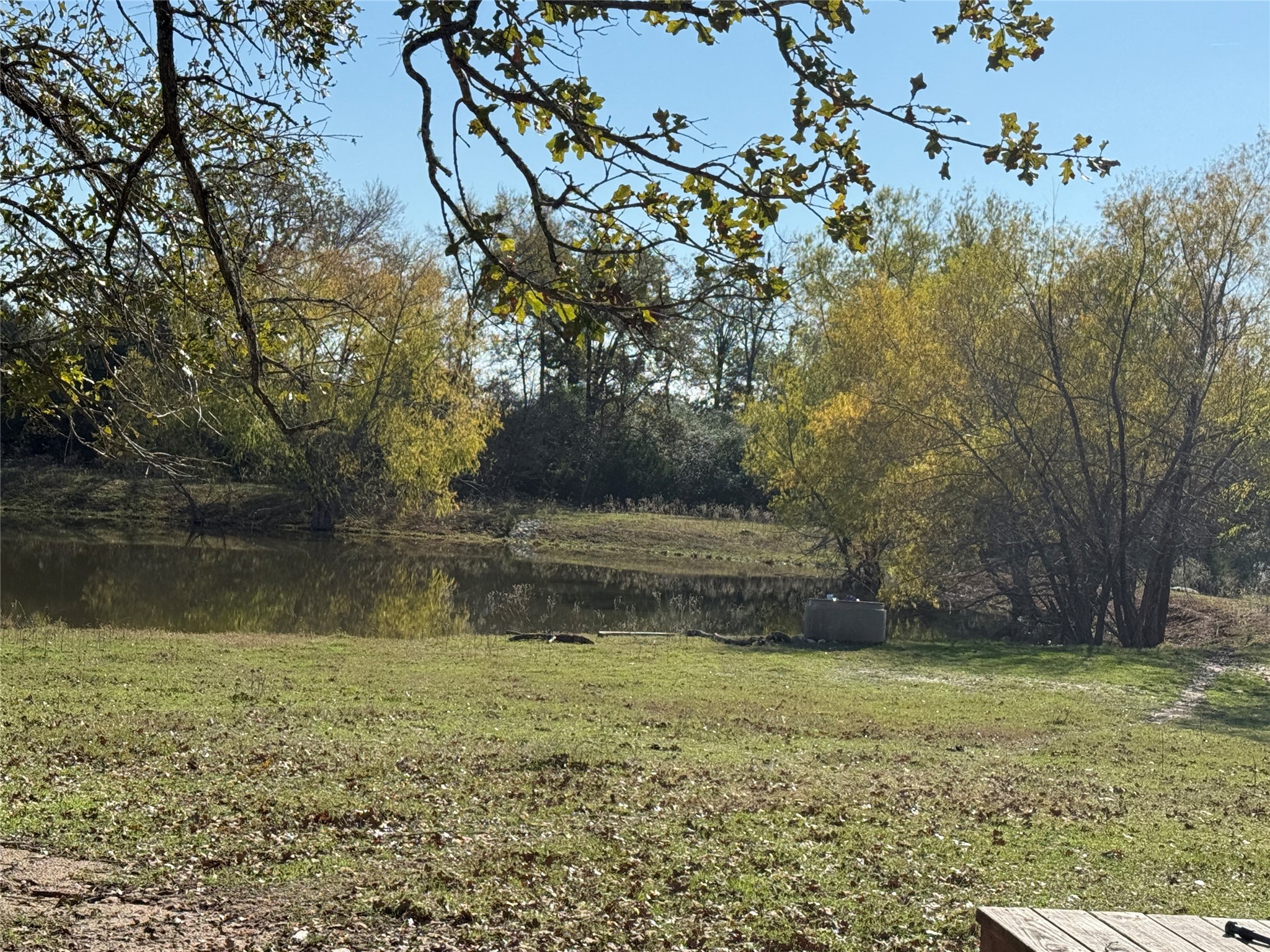 7538 Rocky Ridge Lane Madisonville, TX 77864 - Photo 6 of 47 Serene pond nestled on 20 acres of beautifully enhanced land.