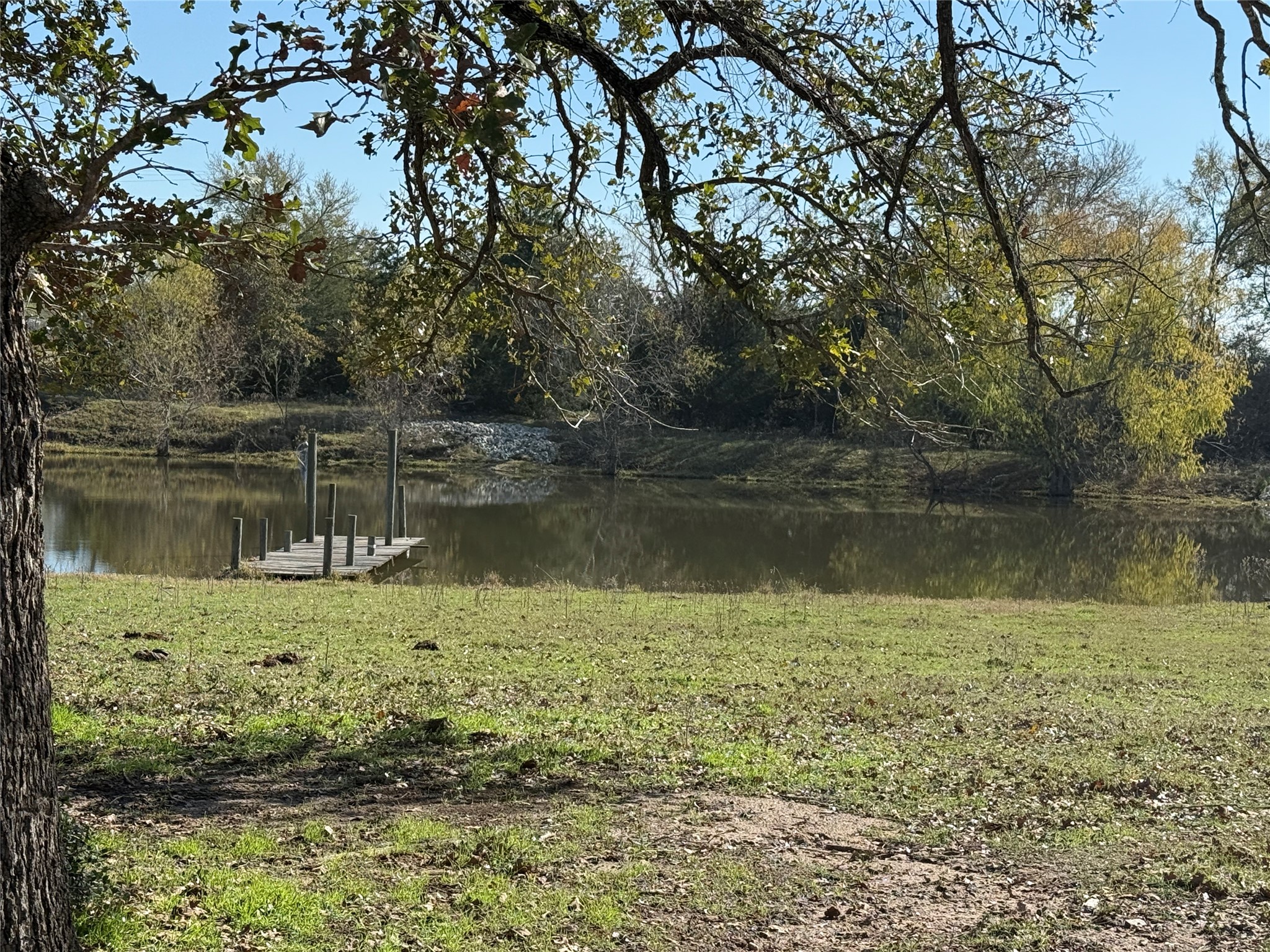 7538 Rocky Ridge Lane Madisonville, TX 77864 - Photo 7 of 48 a view of a lake with a tree