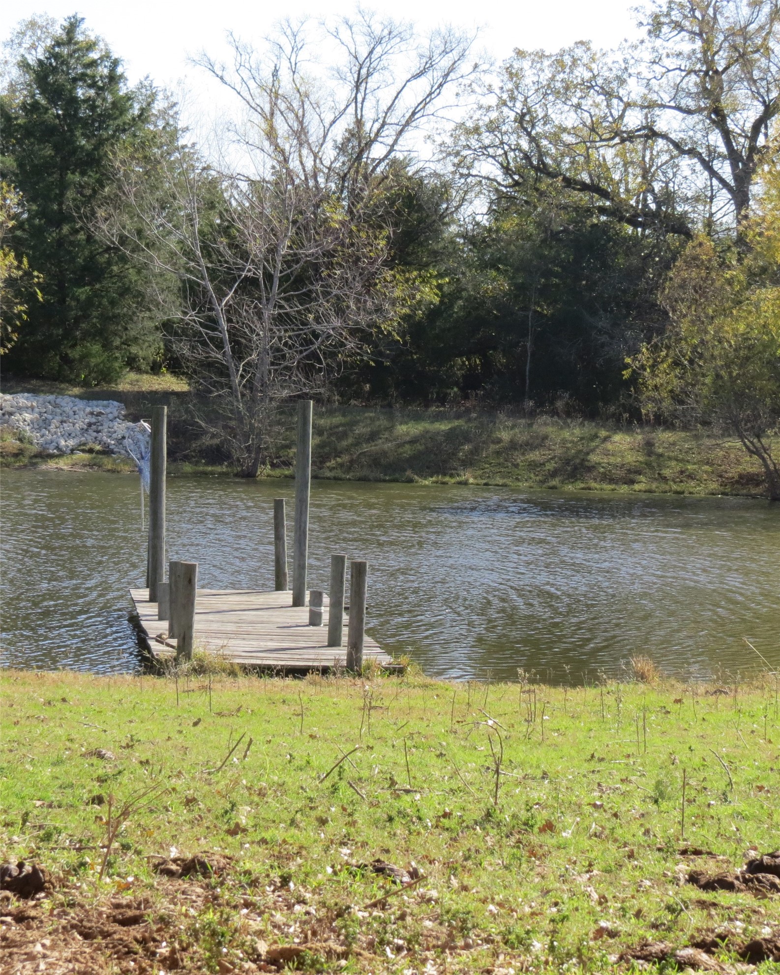 7538 Rocky Ridge Lane Madisonville, TX 77864 - Photo 10 of 47