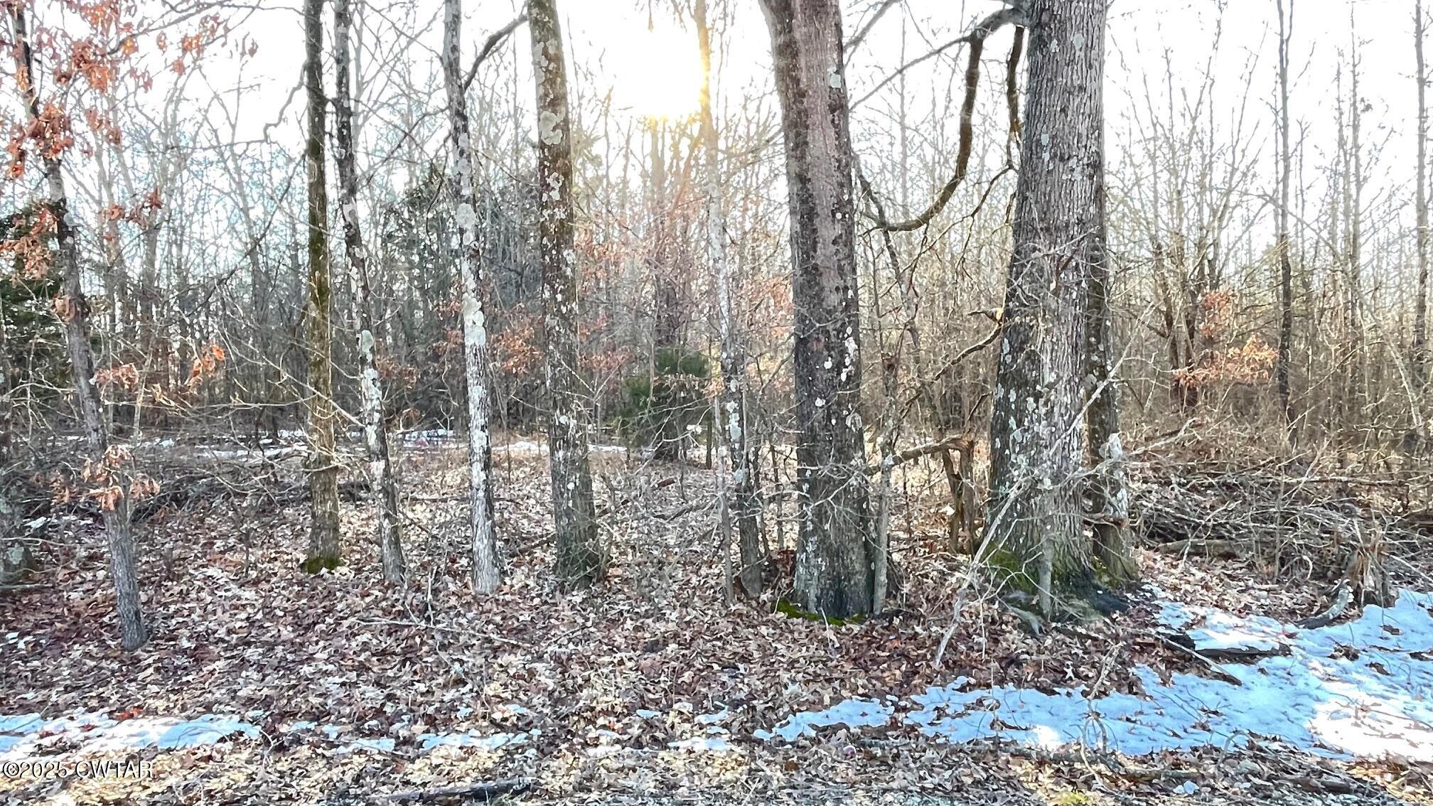 100 Davis Grove Road Bradford, TN 38316 - Photo 14 of 28 a backyard of a house with lots of green space