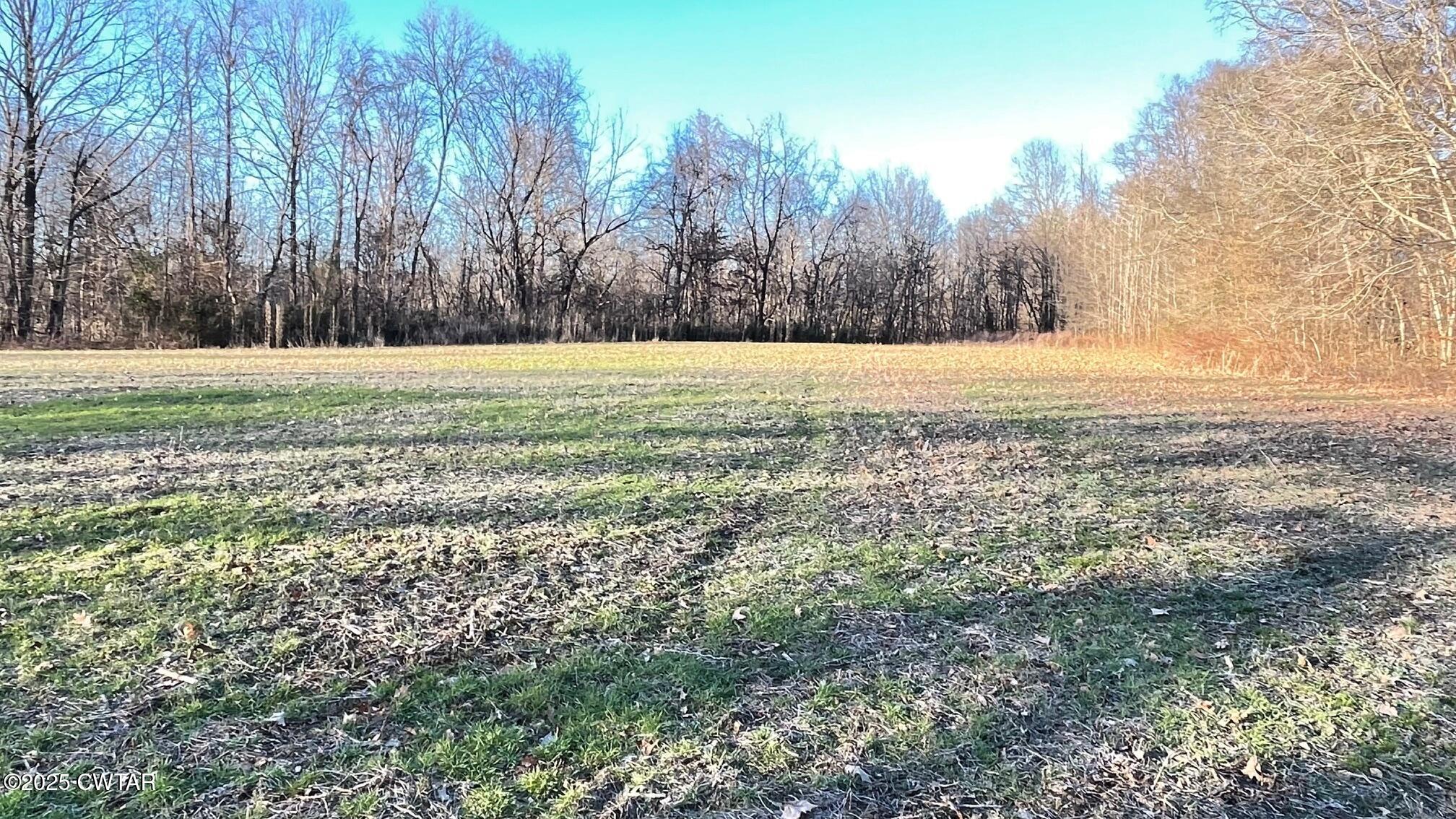 100 Davis Grove Road Bradford, TN 38316 - Photo 19 of 28 a view of yard covered with trees