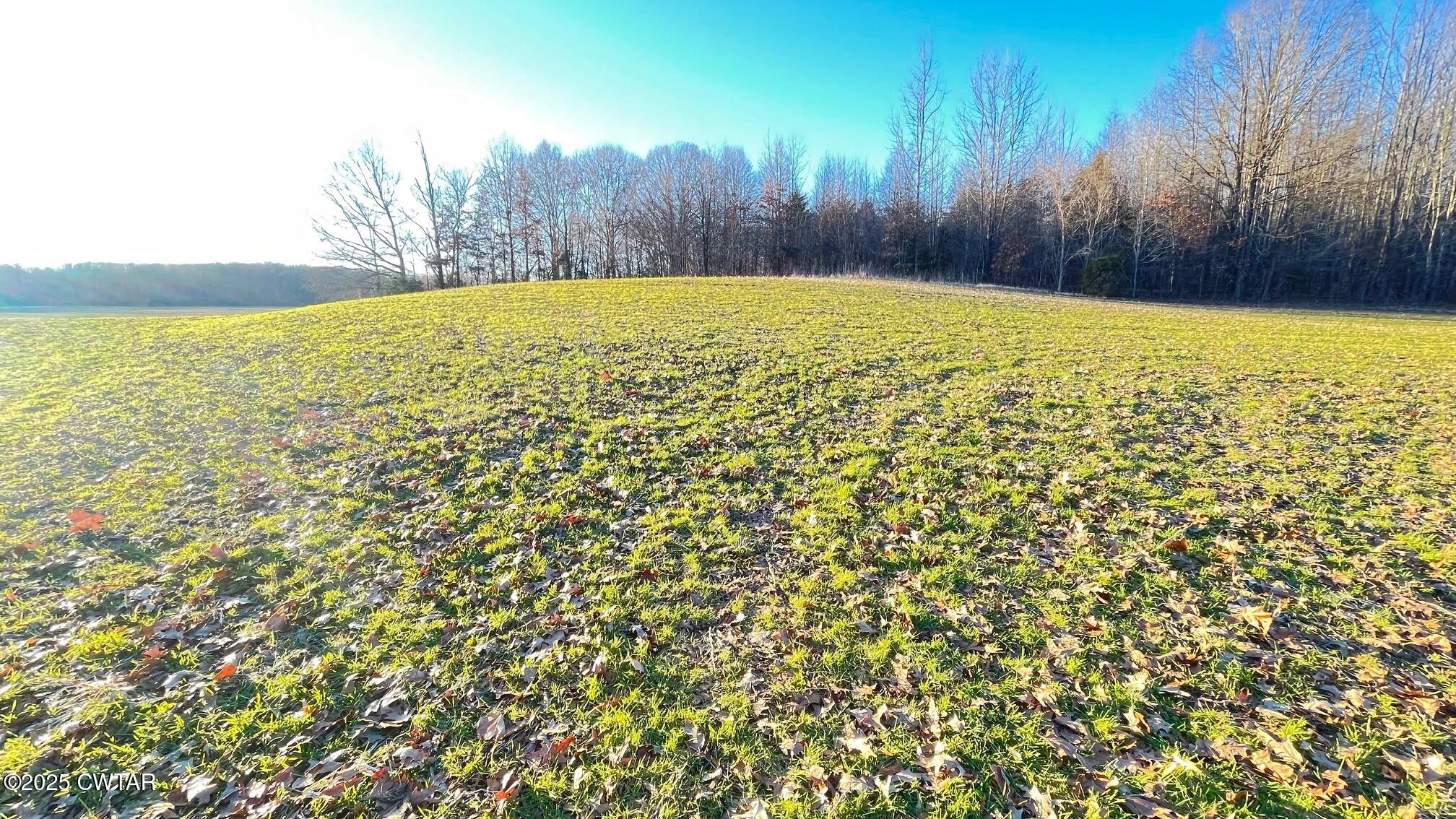 100 Davis Grove Road Bradford, TN 38316 - Photo 22 of 28 a view of an outdoor space and a yard