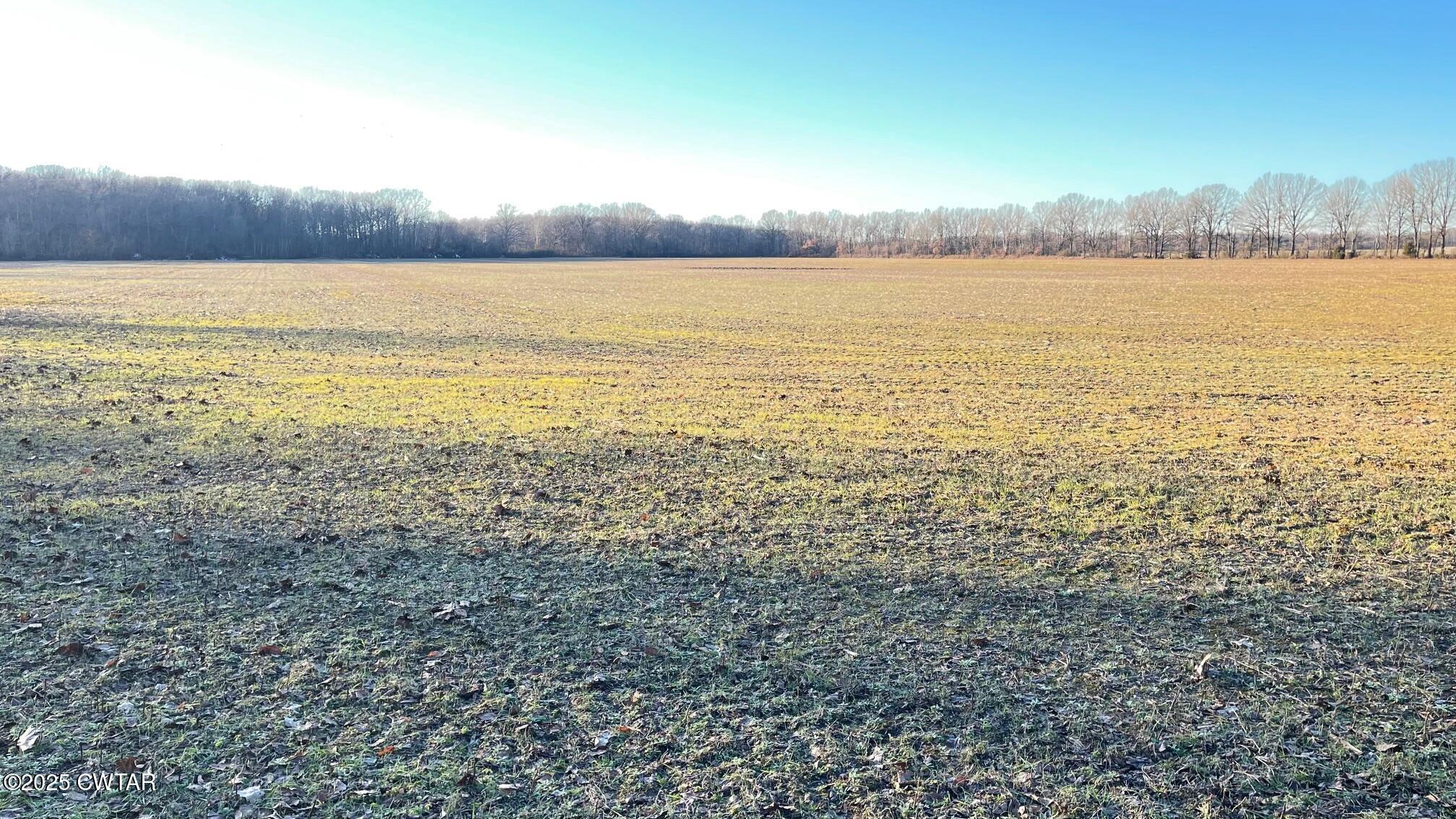 100 Davis Grove Road Bradford, TN 38316 - Photo 25 of 28 a view of an ocean