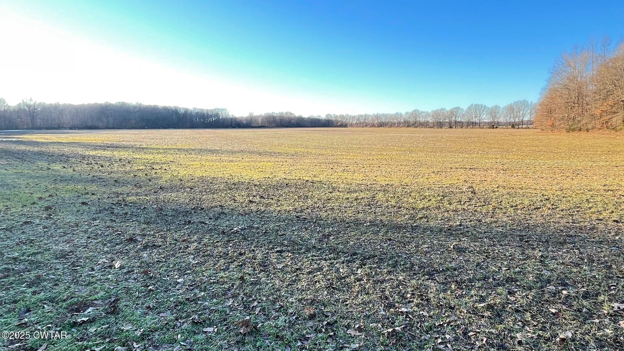 100 Davis Grove Road Bradford, TN 38316 - Photo 26 of 28 a view of an ocean