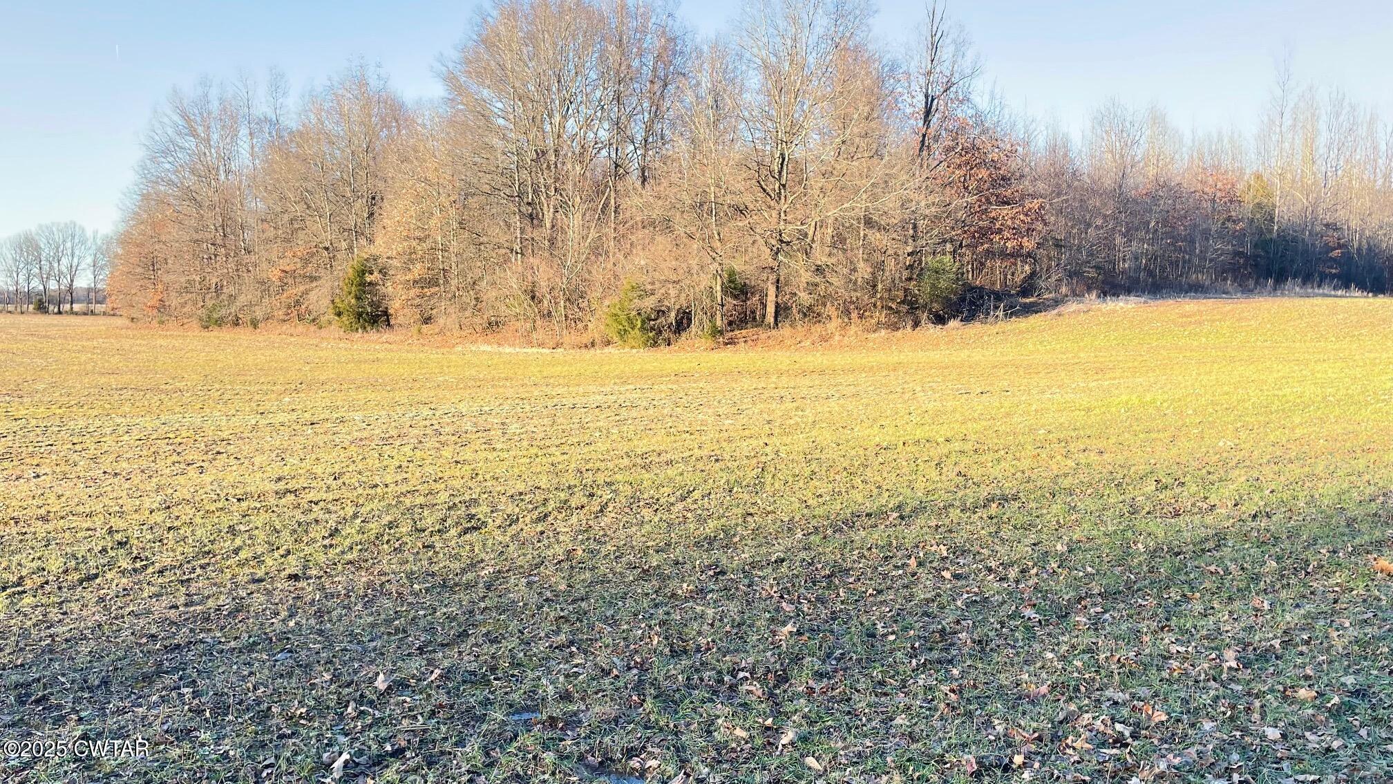 100 Davis Grove Road Bradford, TN 38316 - Photo 27 of 28 a view of yard and trees