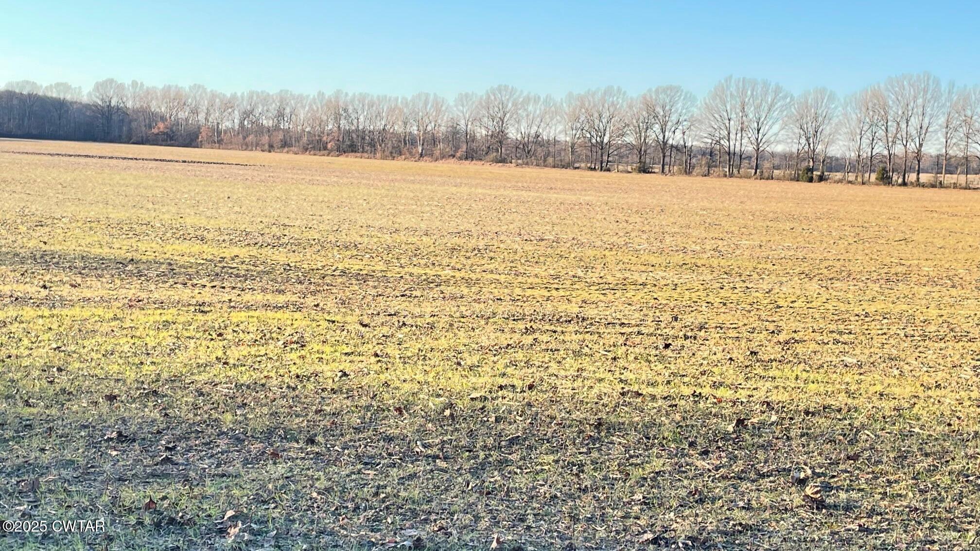 100 Davis Grove Road Bradford, TN 38316 - Photo 28 of 28