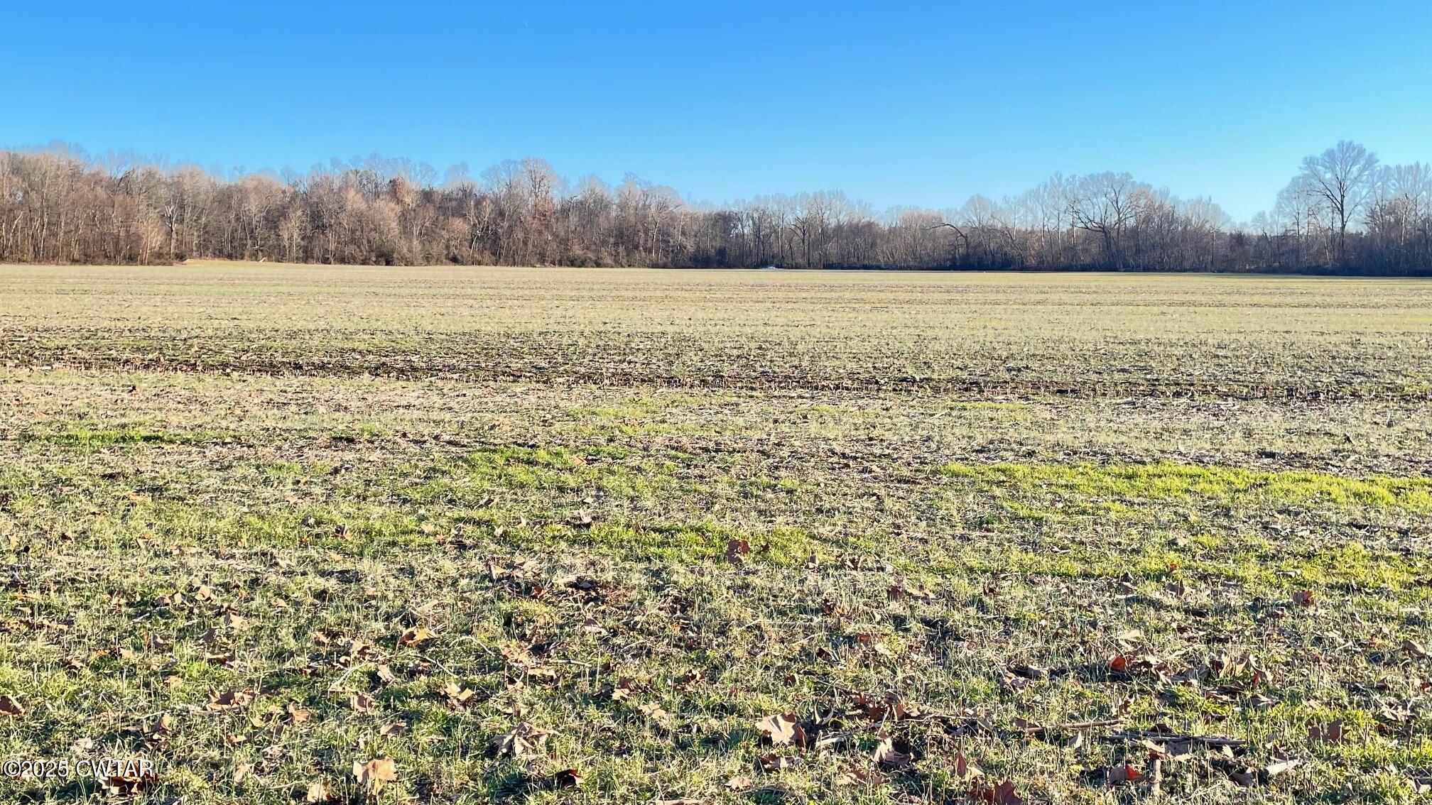 100 Davis Grove Road Bradford, TN 38316 - Photo 3 of 28 a view of an ocean and beach