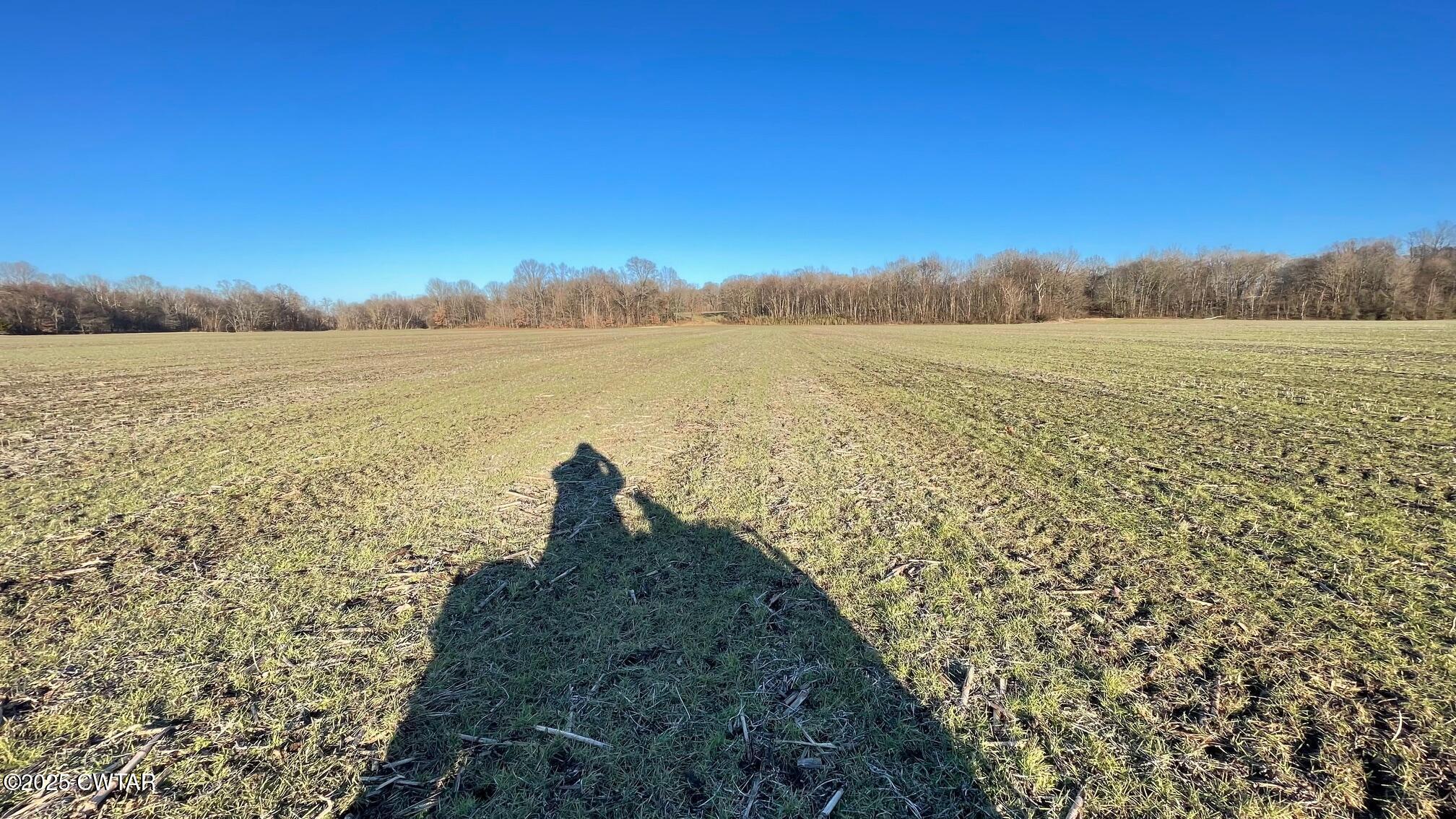 100 Davis Grove Road Bradford, TN 38316 - Photo 8 of 28 a view of a lake