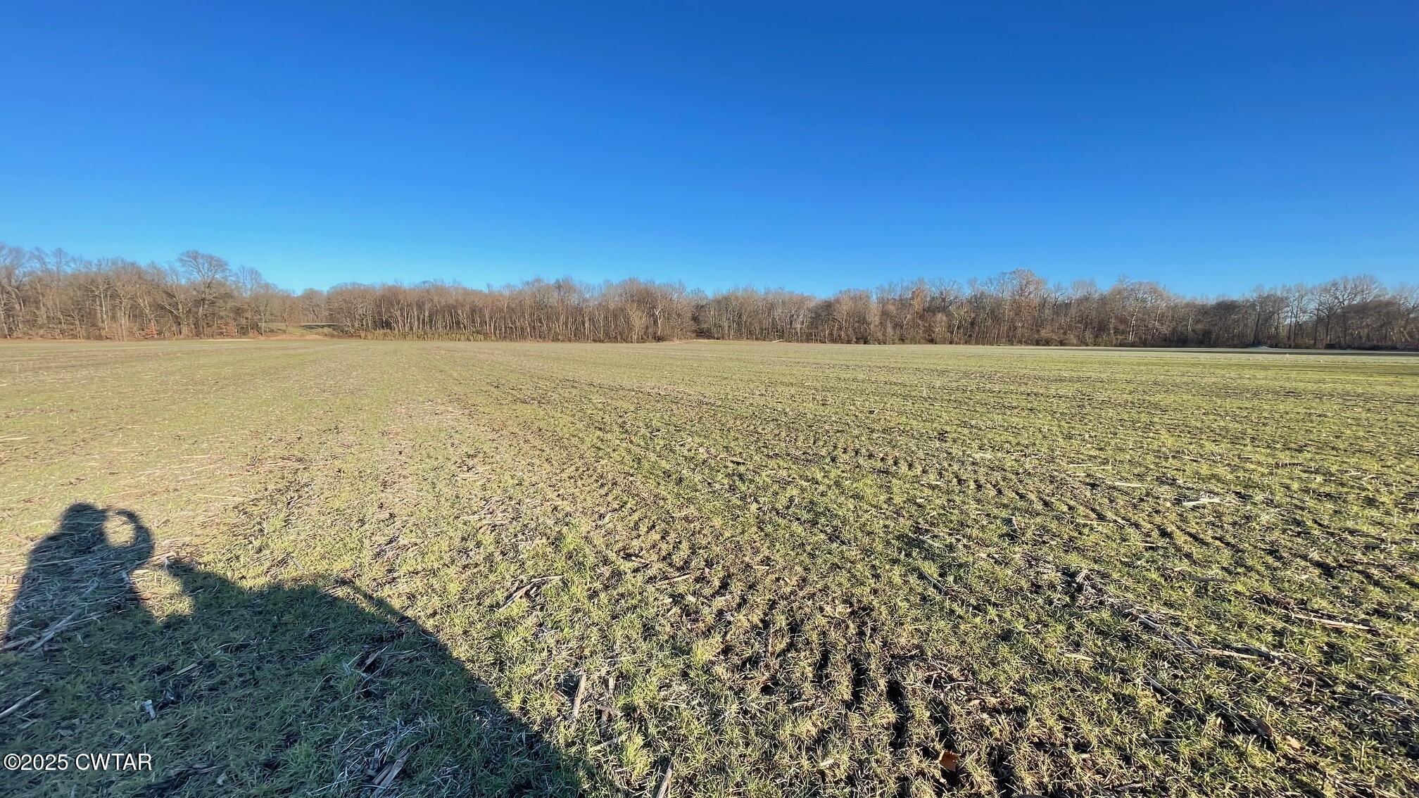 100 Davis Grove Road Bradford, TN 38316 - Photo 9 of 28 a view of lake and mountain